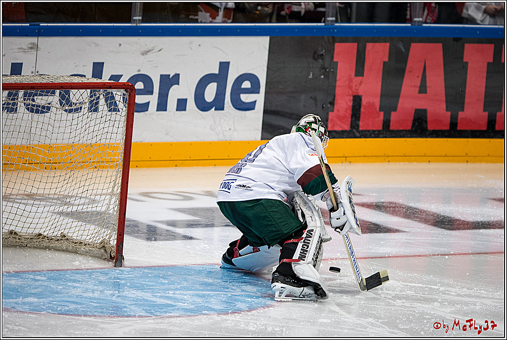 DEL, Koelner Haie - Augsburger Panther, 13.01.2017